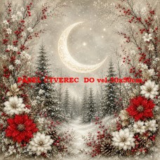  Látkový panel kolekce VÁNOCE  578-420
