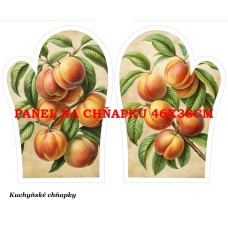 PANEL NA CHŇAPKU  580-18