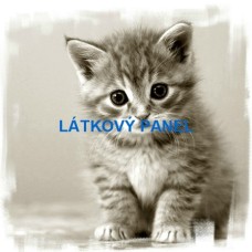 bavlněný panel 25x25 cm lpz775 bavlněný panel 25x25 cm lpz775