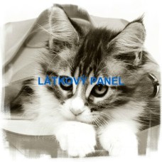 bavlněný panel 25x25 cm lpz774 bavlněný panel 25x25 cm lpz774