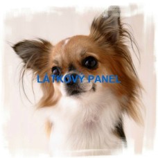 BAVLNĚNÝ PANEL - 45x45 cm  lpz786