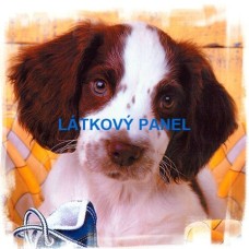 BAVLNĚNÝ PANEL - 45x45 cm  lpz787