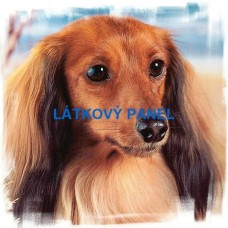 BAVLNĚNÝ PANEL - 45x45 cm  lpz788