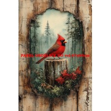 BAVLNĚNÝ PANEL 18x25 cm lpz754 BAVLNĚNÝ PANEL 18x25 cm lpz754