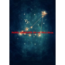 Látkový panel kolekce ZNAMENÍ - KOZOROH 196-166 Látkový panel kolekce ZNAMENÍ - KOZOROH 196-166