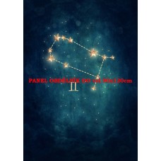 Látkový panel kolekce ZNAMENÍ - BLÍŽENCI 196-167 Látkový panel kolekce ZNAMENÍ - BLÍŽENCI 196-167