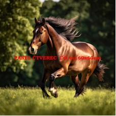 Látkový panel  360-4