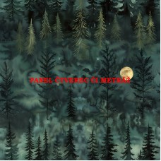 Látkový panel či metráž, kolekce MAGICKÝ LES   399-24