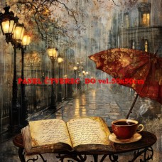 Látkový panel kolekce PAŘÍŽ 478-72