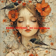 Látkový panel kolekce ŽENY, DÍVKY 535-39