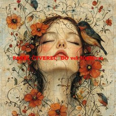 Látkový panel kolekce ŽENY, DÍVKY 535-46