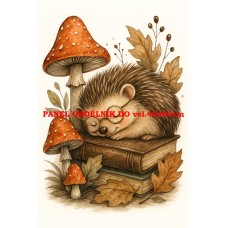 Látkový panel 562-125 Látkový panel 562-125