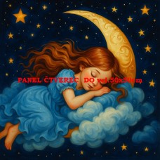 Látkový panel  577-566