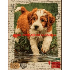 Látkový panel  kolekce  RAINY DAY 624-4