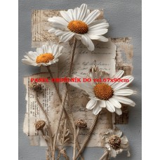 Látkový panel kolekce VINTAGE BOTANICAL 630-134