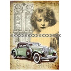 Bavlněná látka-panel DP117