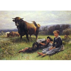 Bavlněná látka R2828