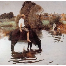 Bavlněná látka R2945