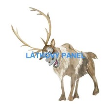  PANEL  - varianty velikostí i materiálu  202FR-P19  -  LEDOVÉ KRÁLOVSTVÍ