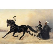 Bavlněná látka R3351