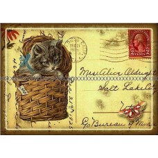 Bavlněná látka-panel A2534
