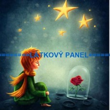 BAVLNĚNÝ PANEL Malý princ  30x30 cm    BSK-19