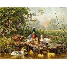 Bavlněná látka R3417