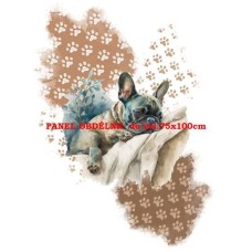 BAVLNĚNÝ PANEL 19x25 cm lpf885