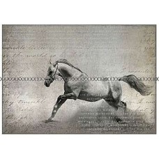 Bavlněná látka-panel A2885