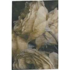 BAVLNĚNÝ PANEL - 7 x 10 cm 10RG252