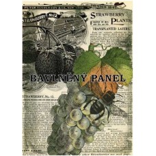Bavlněná látka-panel A6192