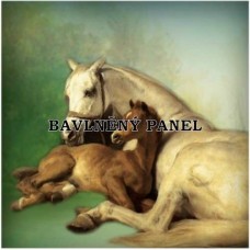 Bavlněná látka-panel A6354