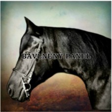 Bavlněná látka-panel A63515