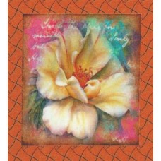 BAVLNĚNÝ PANEL - 12,5 x 13,5 cm 17RG89