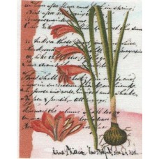 BAVLNĚNÝ PANEL - 8 x 10 cm 18RG94