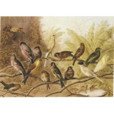 BAVLNĚNÝ PANEL - 8,5 x 13,5 cm 4RE386