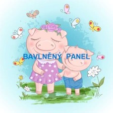 Látkový panel - varianty materiálu a velikosti  160-158