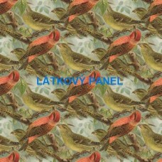 PANEL či METRÁŽ - varianty velikostí i materiálu 202-260  KOLEKCE VINTAGE PTÁČCI
