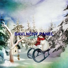 Bavlněný panel - varianty velikostí - 161-62
