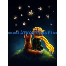 Úpletový panel Malý princ 37x50 cm  USK-2