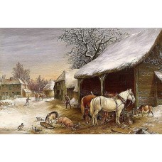 Bavlněná látka R 2358